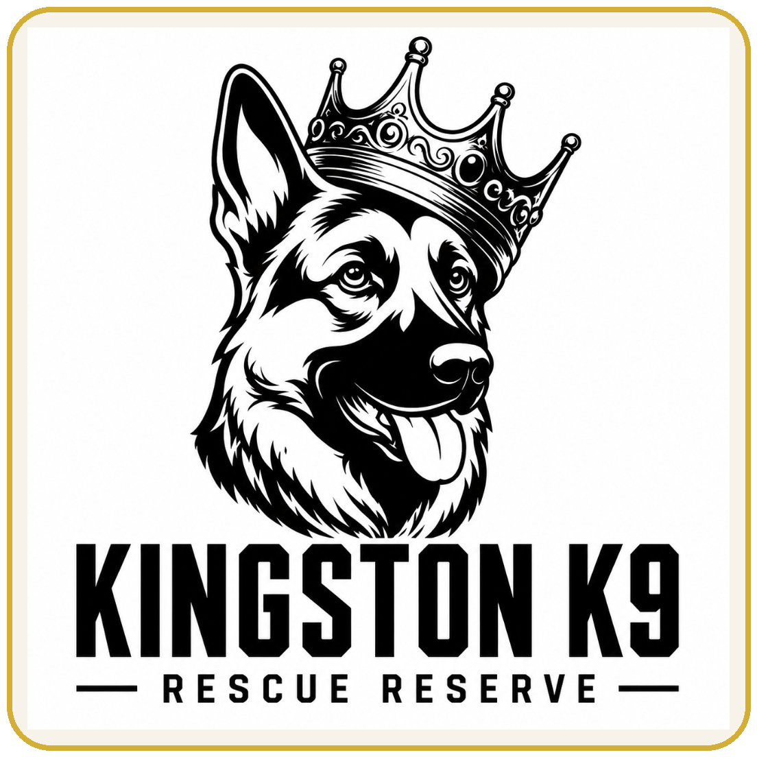 Kingston K9 Rescue Reserve