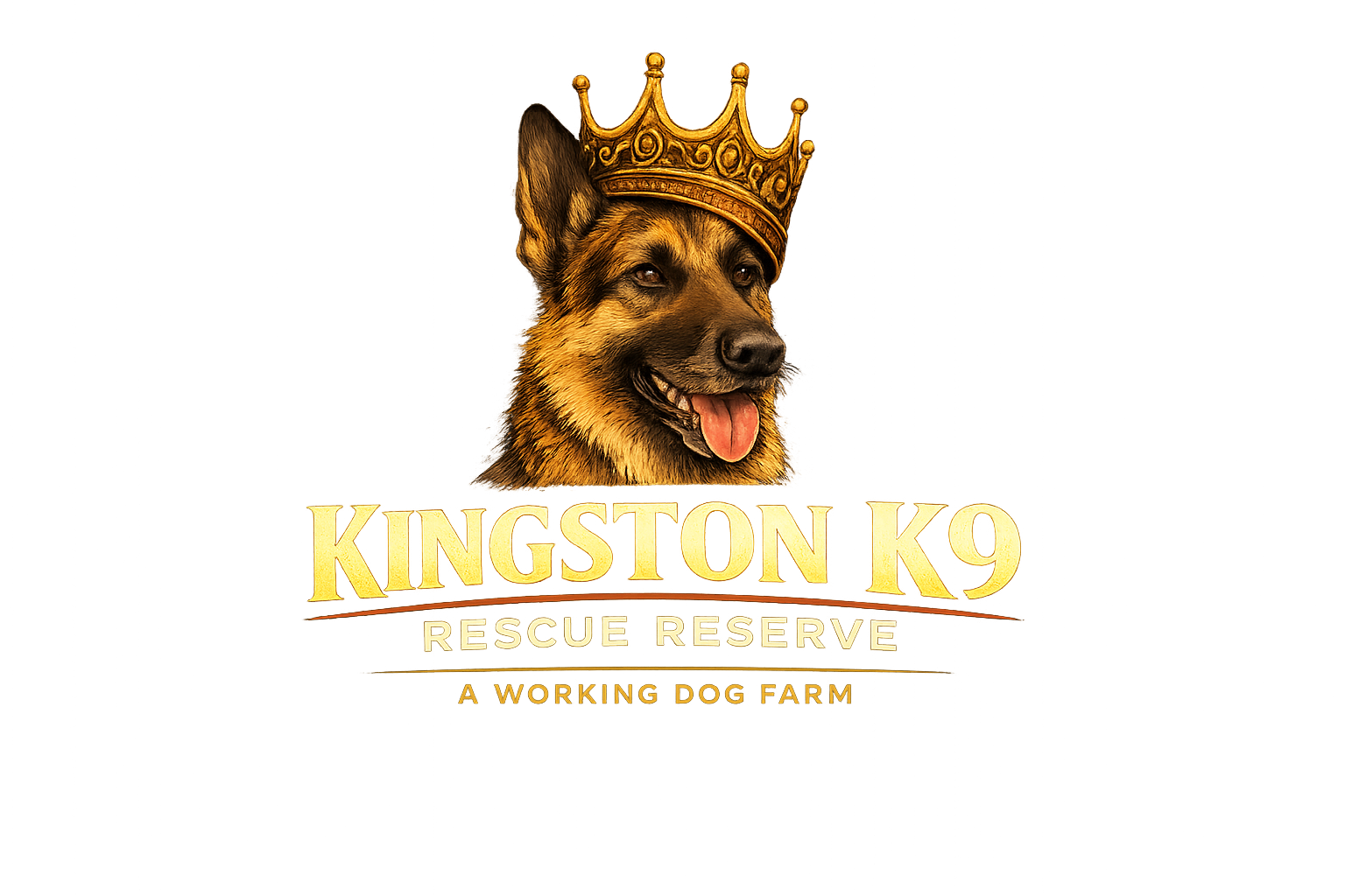 kingstonk9.com