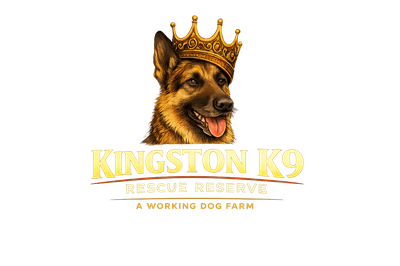 kingstonk9.com