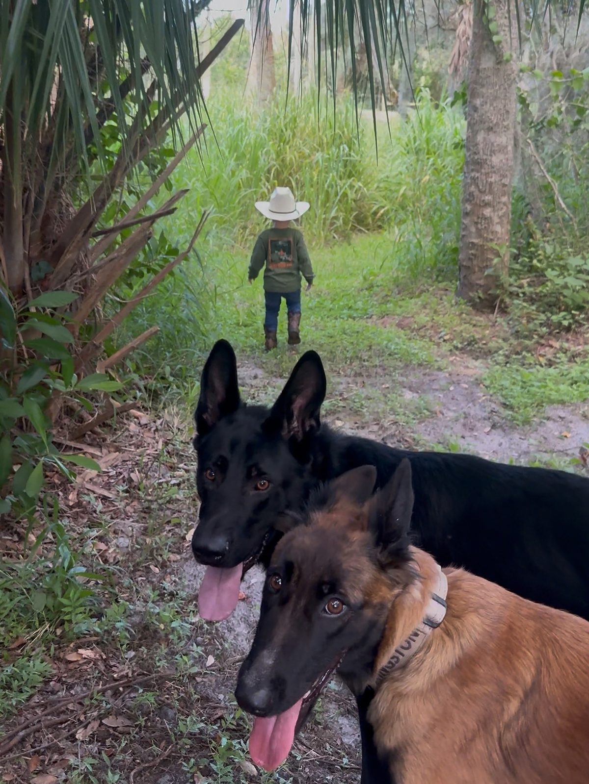 Nala and Mav